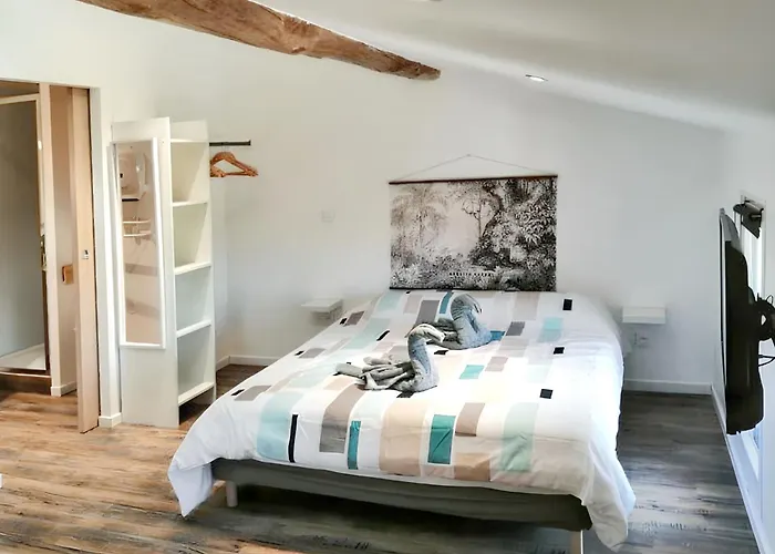 A Saint-jory, 25 M², Piscine Partagee Saint-Jory